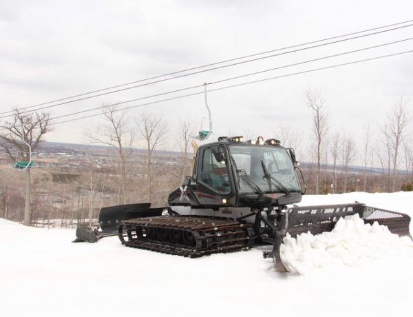 Prinoth Bison X 2010